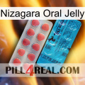 Nizagara Oral Jelly new14